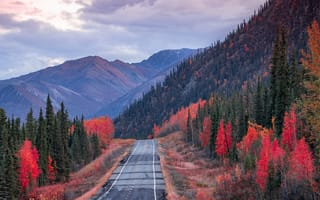 Картинка дорога, осень, горы, вершины, вид, лес, облака, небо