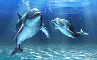 Картинка подводный мир, море, дельфины, арт, под водой, пузырьки