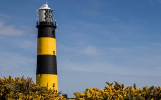 Картинка побережье, маяк, Bumble Bee Lighthouse, Ирландия