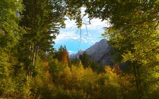 Картинка осень, лес, природа, облака, небо, деревья, горы, ветки