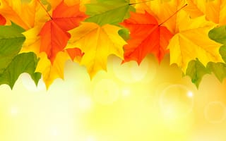 Картинка autumn, leaves, maple, листья, осенние