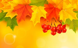Картинка autumn, осенние, leaves, листья, maple