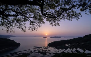 Картинка море, острова, ветки, рисовые террасы, дерево, закат, Japan, Япония, Tsuchiya Rice Terraces