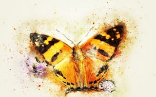 Картинка макро, бабочка, стилизация под живопись