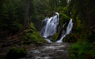 Картинка лес, река, Oregon, National Creek Falls, Орегон, водопад, каскад