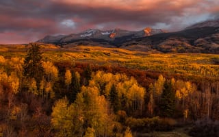 Картинка Golden Glow, деревья, горы, осень