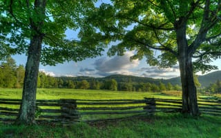 Картинка Adirondack, луг, Адирондак, штат Нью-Йорк, деревья, забор, New York