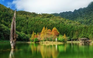 Картинка осень, лес, озеро, беседка, Тайвань, Mingchi National Forest, природа