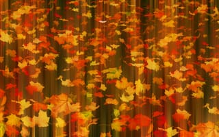 Картинка Fall in motion, ❖, листья, осень