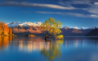 Обои горы, дерево, озеро, Новая Зеландия, Lake Wanaka