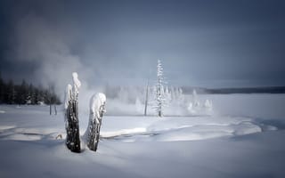 Картинка зима, природа, туман, снег