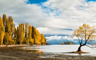 Картинка озеро, осень, деревья