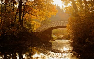 Обои осень, вода, мост, желтые, камыши, парк, отражение, река, листья, деревья