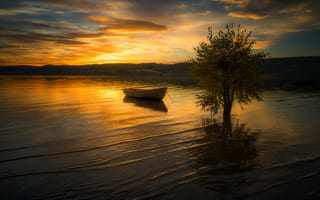 Картинка закат, дерево, река, лодка
