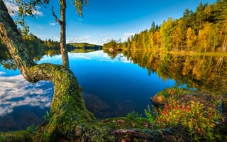 Картинка Sætre, Норвегия, Hurum, озеро, Buskerud, лес, Norway, Хурум, Бускеруд, отражение, дерево, осень
