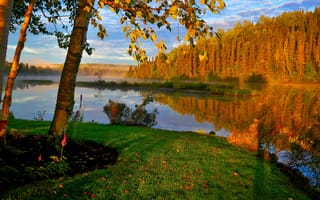 Картинка осень, лес, деревья, небо, рекa, отражение