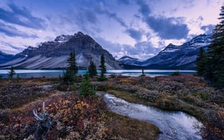 Картинка Alberta, трава, Canada, озеро, Banff National Park, вечер, Bow Lake, деревья, ручей, горы