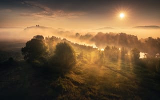Картинка лучи, туман, Солнце, fog, river, rays, sun, sunrise, восход, Karol Nienartowicz, река