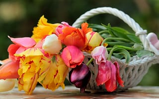 Картинка цветы, весна, корзина, ваза, тюльпаны