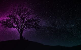 Картинка dark, hill, black, 4k uhd, purple, starry sky, miscellaneous, man, art, silhouette, tree