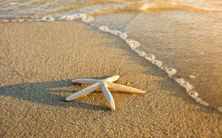 Картинка песок, море, пляж, лето, beach, звезда, sea, summer