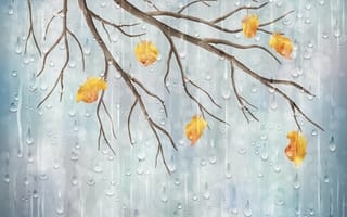 Картинка природа, листья, осень, вектор, ветки, дождь
