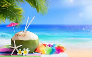 Обои песок, море, tropical, palm, отдых, summer, пляж, coconut, beach, vacation, sea, лето
