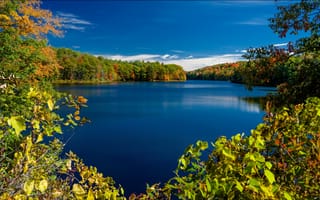 Картинка Rockwood Lake, New York, штат Нью-Йорк, озеро, Парк Адирондак, осень, ветки, Adirondack Park, озеро Роквуд, деревья