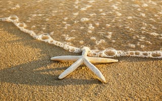 Картинка песок, море, summer, лето, sea, beach, звезда, пляж