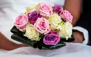 Обои букет, свадебный, лепестки, розы