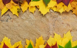 Картинка осень, leaves, colorful, листья, wood, autumn, клен, maple, доски