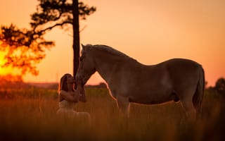 Картинка девушка, конь, закат
