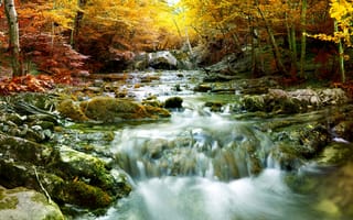 Картинка осень, лес, речка, деревья, водопад
