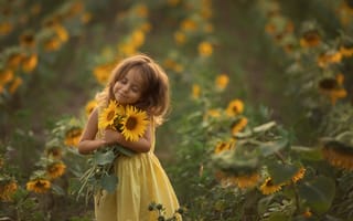 Картинка поле, ребёнок, девочка, букет, Chudak Irena, лето, природа, подсолнухи, платье