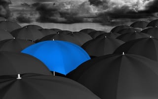 Картинка umbrella, blue, black, many