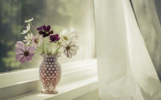 Картинка цветы, окно