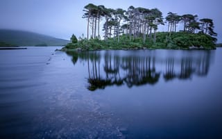 Картинка деревья, Ирландия, Ireland, Озеро Дерриклер Лох, Connemara, озеро, Коннемара, остров, отражение, Derryclare Lough