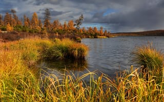 Картинка осень, природа, пейзаж, деревья, Максим Евдокимов, озеро, Колыма, растительность, леса, тучи, трава