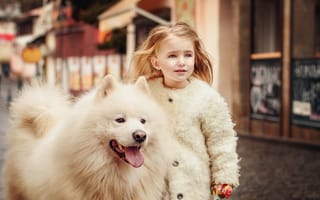 Картинка животное, ребёнок, девочка, пёс, самоед, Марина Петра, пальто, собака