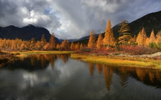 Картинка осень, озеро, природа, пейзаж, деревья, горы, отражение, облака, Колыма, Максим Евдокимов