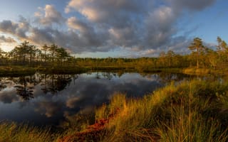 Картинка осень, Карелия, трава, лес, пейзаж, природа, закат, Vaschenkov Pavel, отражение, облака, болото