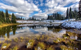 Картинка осень, Mount Rainier National Park, природа