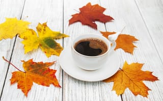 Картинка осень, листья, wood, leaves, coffee cup, чашка кофе, autumn