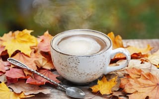 Обои осень, чашка кофе, листья, wood, coffee cup, autumn, leaves