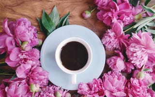Картинка цветы, розовые, flowers, cup, pink, wood, чашка кофе, пионы, coffee, peonies