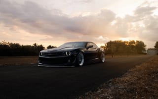 Картинка Chevrolet, Stance, ZL1, Matte, Road, Muscle, Car, Front, Camaro, Black, Autumn
