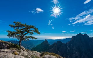 Картинка Aiguilles de Bavella, Bavella Needles, солнце, Corsica, дерево, Иглы Бавеллы, Конка, Франция, France, горы, Conca, Корсика, небо