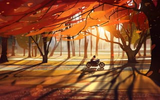 Картинка осень, байк, лес, дорога, деревья, листья, мотоцикл, девушка