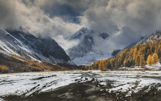 Картинка осень, снег, деревья, Краси Матаров, лес, горы