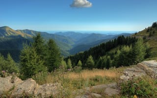 Картинка лес, горы, Франция, горизонт